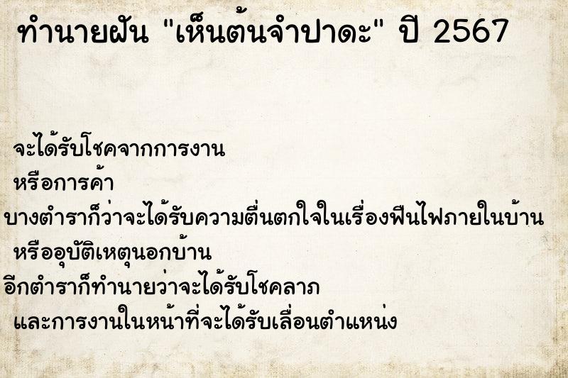 ทำนายฝัน เห็นต้นจำปาดะ ทำนายฝัน เห็นต้นจำปาดะ