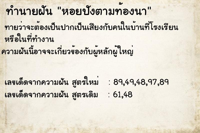 ทำนายฝันหอยปังตามท้องนา ทำนายฝันทำนายฝันหอยปังตามท้องนา