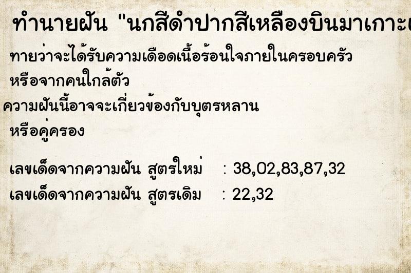 ทำนายฝัน นกสีดำปากสีเหลืองบินมาเกาะแล้วบินเข้ากรง