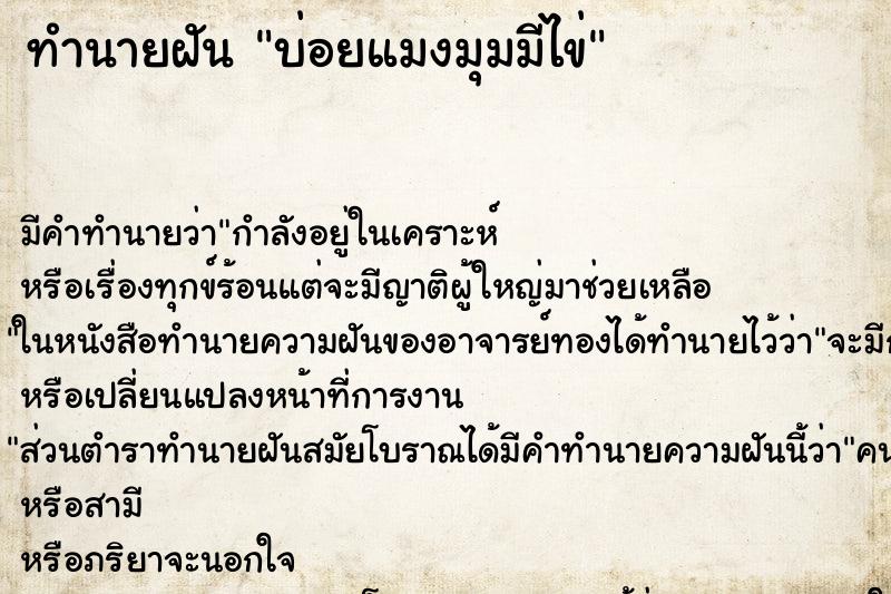 ทำนายฝันบ่อยแมงมุมมีไข่ ทำนายฝันทำนายฝันบ่อยแมงมุมมีไข่