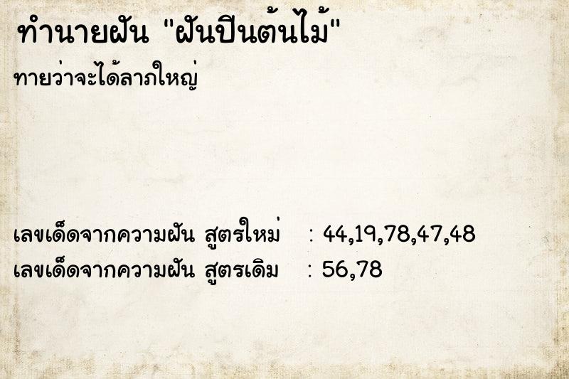 ทำนายฝันฝันปีนต้นไม้ ทำนายฝันทำนายฝันฝันปีนต้นไม้