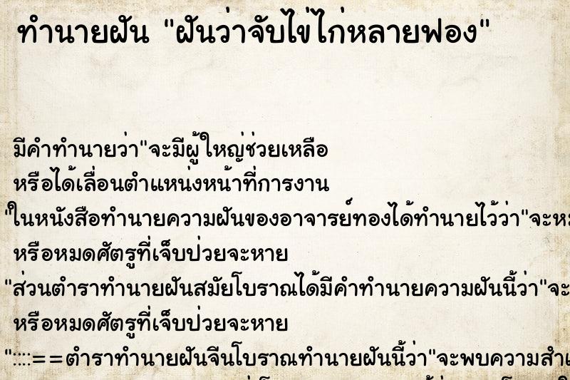 ทำนายฝันทำนายฝันฝันว่าจับไข่ไก่หลายฟอง