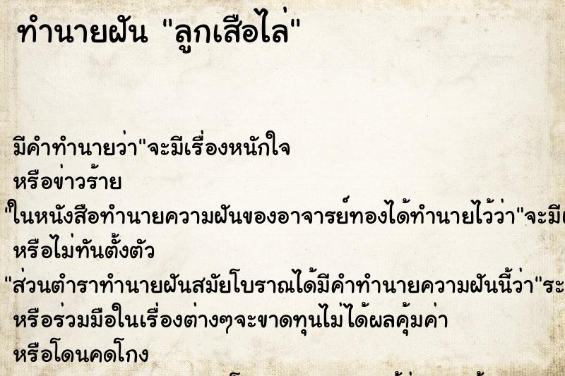 ทำนายฝัน ลูกเสือไล่ ทำนายฝัน ลูกเสือไล่