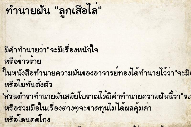 ทำนายฝัน ลูกเสือไล่ ตำราโบราณ แม่นที่สุดในโลก