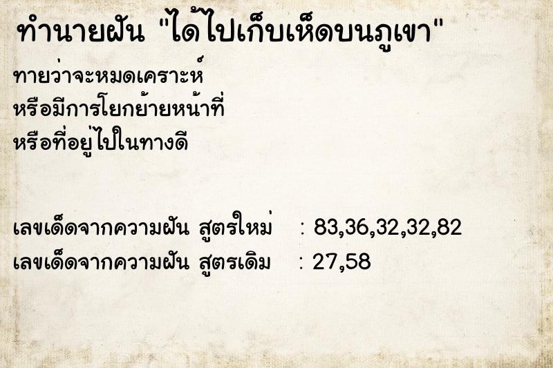 ทำนายฝันทำนายฝันได้ไปเก็บเห็ดบนภูเขา