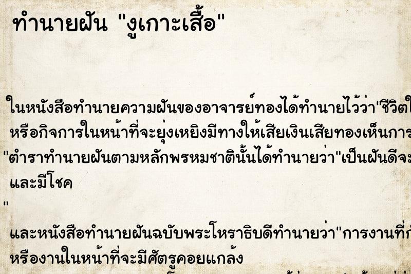 ทำนายฝันงูเกาะเสื้อ ทำนายฝันทำนายฝันงูเกาะเสื้อ