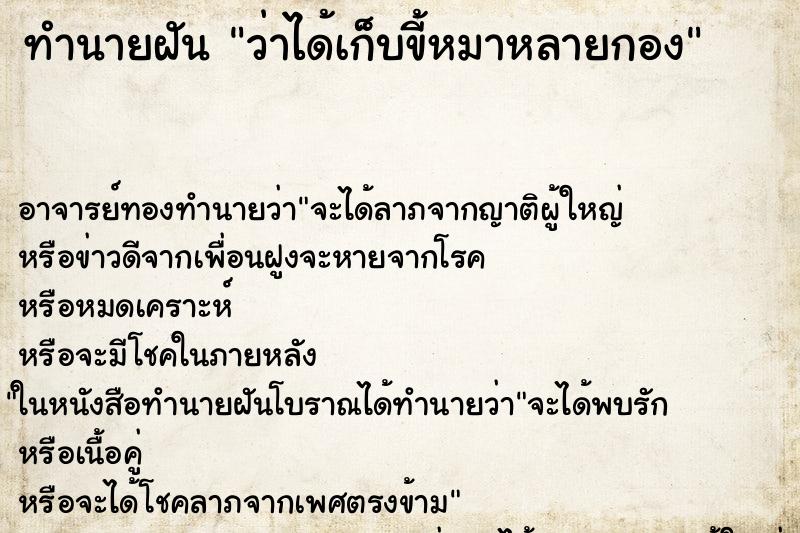 ทำนายฝันว่าได้เก็บขี้หมาหลายกอง ทำนายฝันทำนายฝันว่าได้เก็บขี้หมาหลายกอง