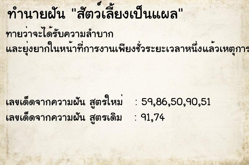 ทำนายฝันทำนายฝันสัตว์เลี้ยงเป็นแผล