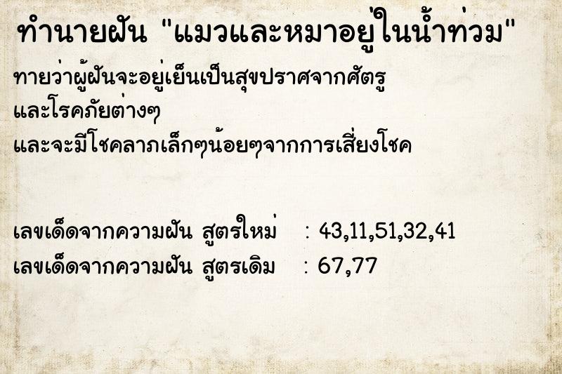 ทำนายฝันแมวและหมาอยู่ในน้ำท่วม ทำนายฝันทำนายฝันแมวและหมาอยู่ในน้ำท่วม