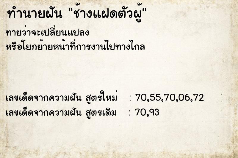 ทำนายฝันทำนายฝันช้างแฝดตัวผู้