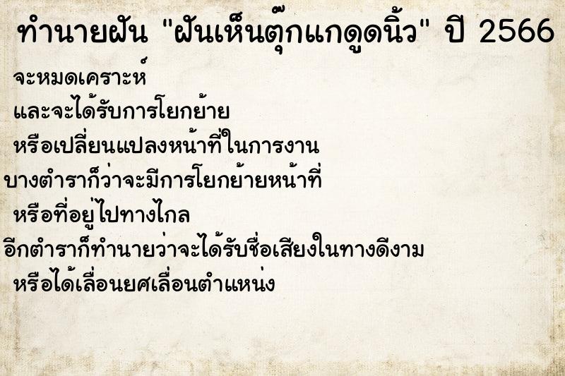 ทำนายฝันฝันเห็นตุ๊กแกดูดนิ้ว ทำนายฝันทำนายฝันฝันเห็นตุ๊กแกดูดนิ้ว