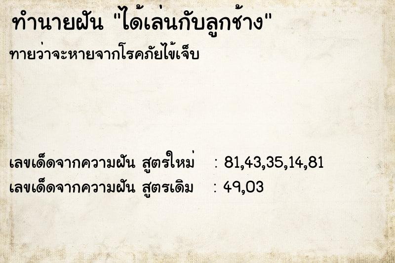 ทำนายฝันทำนายฝันได้เล่นกับลูกช้าง