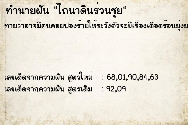 ทำนายฝันทำนายฝันไถนาดินร่วนซุย