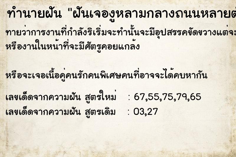 ทำนายฝันทำนายฝันฝันเจองูหลามกลางถนนหลายตัà