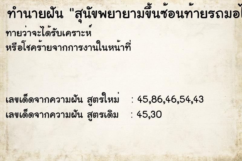 ทำนายฝันทำนายฝันสุนัขพยายามขึ้นซ้อนท้ายรถมอไซแต่ซ้อนไม่ได้