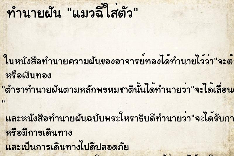 ทำนายฝัน แมวฉี่ใส่ตัว ทำนายฝัน แมวฉี่ใส่ตัว