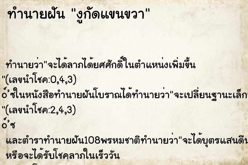 ทำนายฝัน งูกัดแขนขวา ทำนายฝัน งูกัดแขนขวา