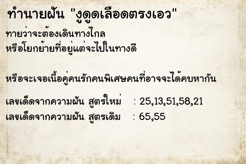 ทำนายฝันทำนายฝันงูดูดเลือดตรงเอว