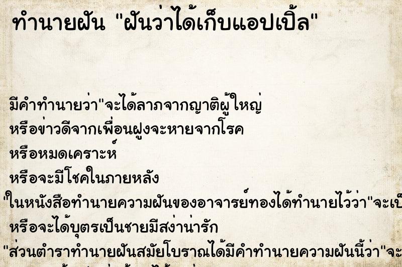 ทำนายฝัน ฝันว่าได้เก็บแอปเปิ้ล ตำราโบราณ แม่นที่สุดในโลก