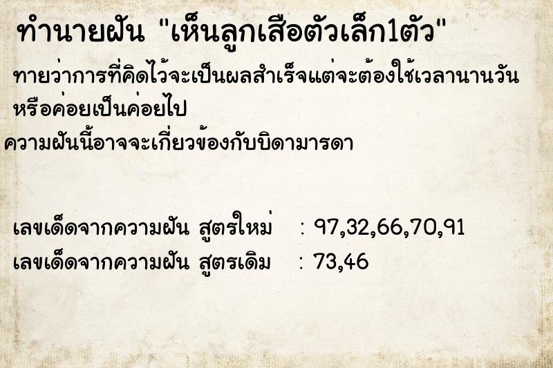 ทำนายฝันเห็นลูกเสือตัวเล็ก1ตัว ทำนายฝันทำนายฝันเห็นลูกเสือตัวเล็ก1ตัว