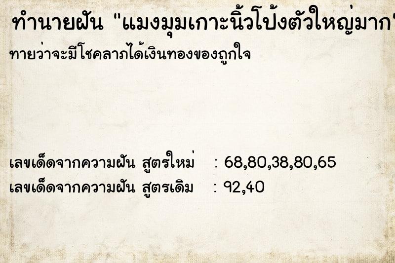 ทำนายฝันแมงมุมเกาะนิ้วโป้งตัวใหญ่มาก ทำนายฝันทำนายฝันแมงมุมเกาะนิ้วโป้งตัวใหญ่มาก