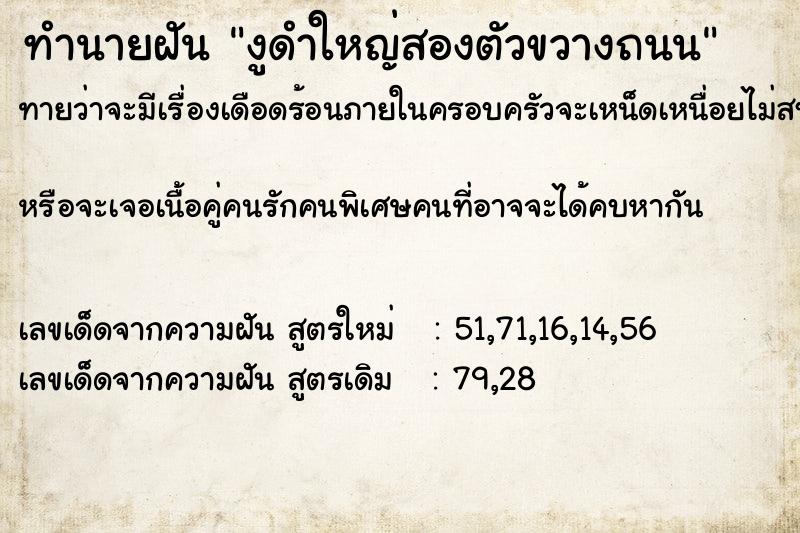 ทำนายฝันงูดำใหญ่สองตัวขวางถนน ทำนายฝันทำนายฝันงูดำใหญ่สองตัวขวางถนน