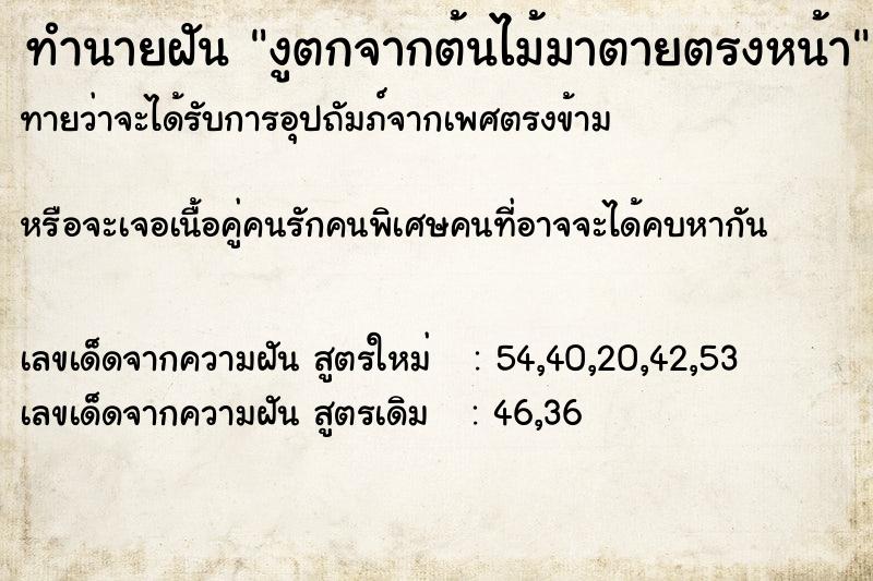 ทำนายฝันทำนายฝันงูตกจากต้นไม้มาตายตรงหน้า