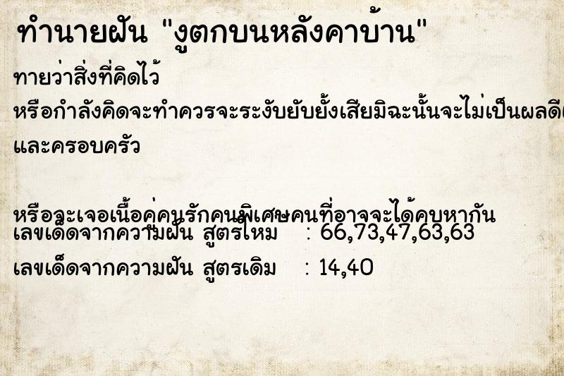 ทำนายฝันงูตกบนหลังคาบ้าน ทำนายฝันทำนายฝันงูตกบนหลังคาบ้าน