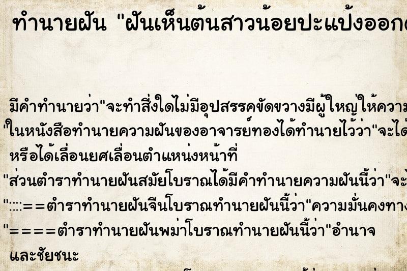 ทำนายฝัน ฝันเห็นต้นสาวน้อยปะแป้งออกดอก ทำนายฝัน ฝันเห็นต้นสาวน้อยปะแป้งออกดอก