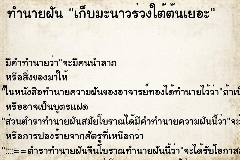ทำนายฝัน เก็บมะนาวร่วงใต้ต้นเยอะ