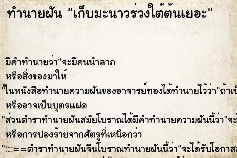 ทำนายฝัน เก็บมะนาวร่วงใต้ต้นเยอะ ตำราโบราณ แม่นที่สุดในโลก