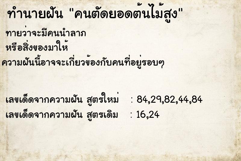 ทำนายฝันคนตัดยอดต้นไม้สูง ทำนายฝันทำนายฝันคนตัดยอดต้นไม้สูง