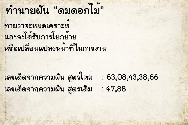 ทำนายฝันดมดอกไม้ ทำนายฝันทำนายฝันดมดอกไม้