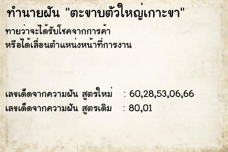 ทำนายฝัน ตะขาบตัวใหญ่เกาะขา ทำนายฝัน ตะขาบตัวใหญ่เกาะขา