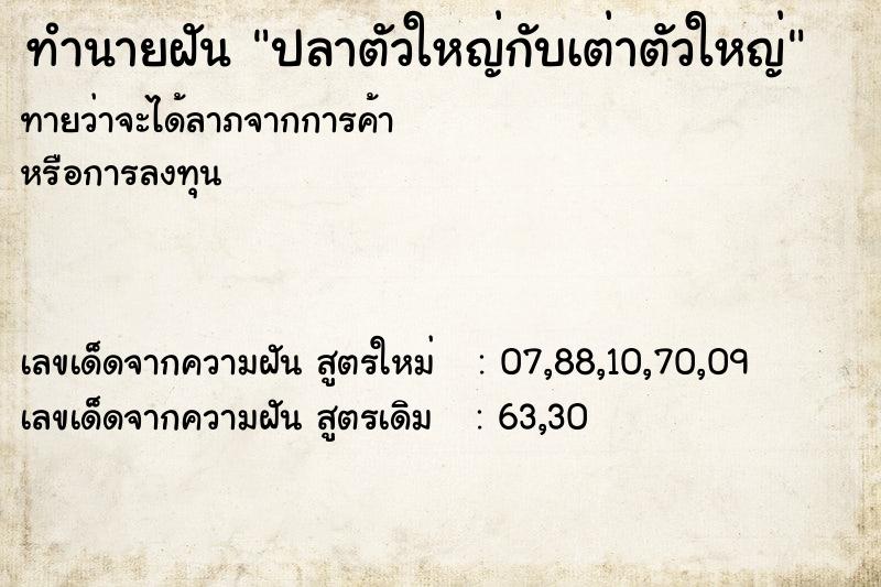 ทำนายฝันปลาตัวใหญ่กับเต่าตัวใหญ่ ทำนายฝันทำนายฝันปลาตัวใหญ่กับเต่าตัวใหญ่