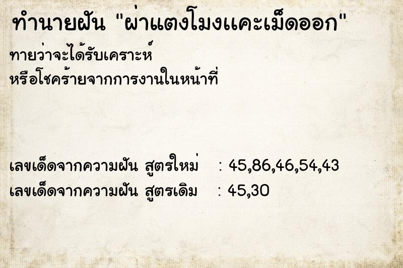 ทำนายฝันผ่าแตงโมงเเคะเม็ดออก ทำนายฝันทำนายฝันผ่าแตงโมงเเคะเม็ดออก