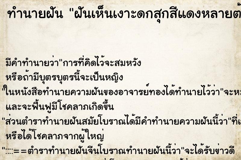 ทำนายฝันฝันเห็นเงาะดกสุกสีแดงหลายต้นแดงหลายต้น ทำนายฝันทำนายฝันฝันเห็นเงาะดกสุกสีแดงหลายต้นแดงหลายต้น