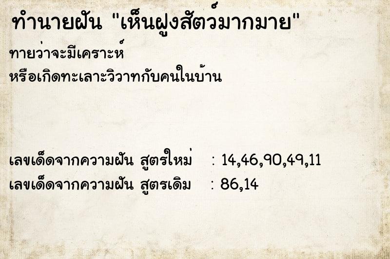 ทำนายฝันทำนายฝันเห็นฝูงสัตว์มากมาย