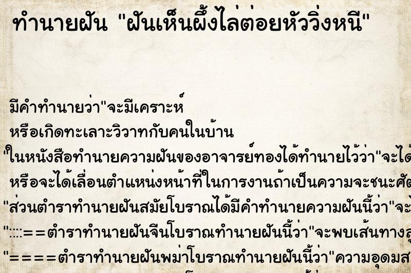 ทำนายฝันฝันเห็นผึ้งไล่ต่อยหัววิ่งหนี ทำนายฝันทำนายฝันฝันเห็นผึ้งไล่ต่อยหัววิ่งหนี