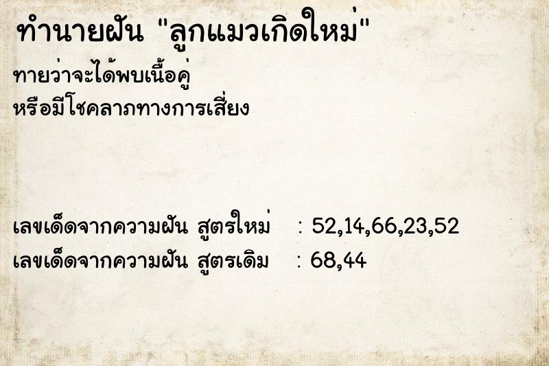 ทำนายฝันทำนายฝันลูกแมวเกิดใหม่
