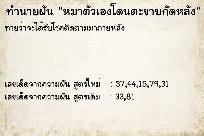 ทำนายฝันหมาตัวเองโดนตะขาบกัดหลัง ทำนายฝันทำนายฝันหมาตัวเองโดนตะขาบกัดหลัง