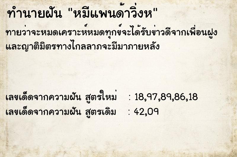 ทำนายฝันหมีแพนด้าวิ่งห ทำนายฝันทำนายฝันหมีแพนด้าวิ่งห