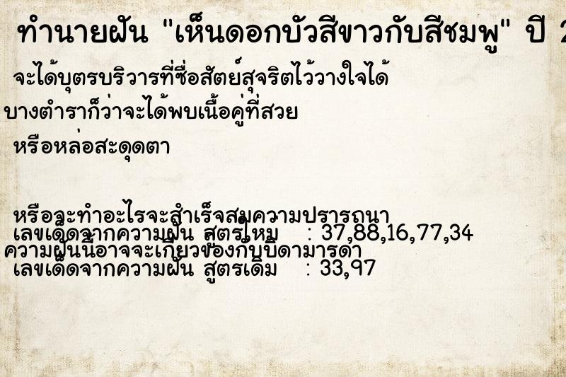 ทำนายฝัน เห็นดอกบัวสีขาวกับสีชมพู ทำนายฝัน เห็นดอกบัวสีขาวกับสีชมพู