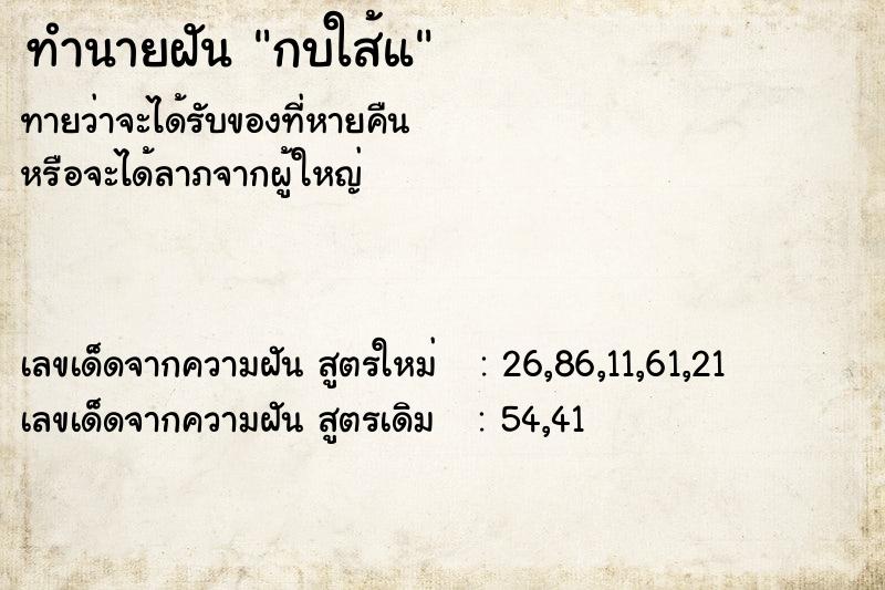ทำนายฝันกบใส้แ ทำนายฝันทำนายฝันกบใส้แ