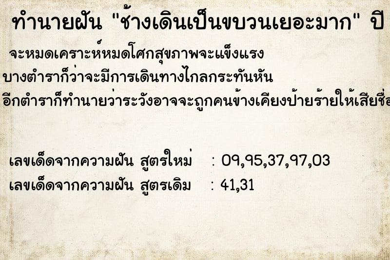ทำนายฝันทำนายฝันช้างเดินเป็นขบวนเยอะมาก