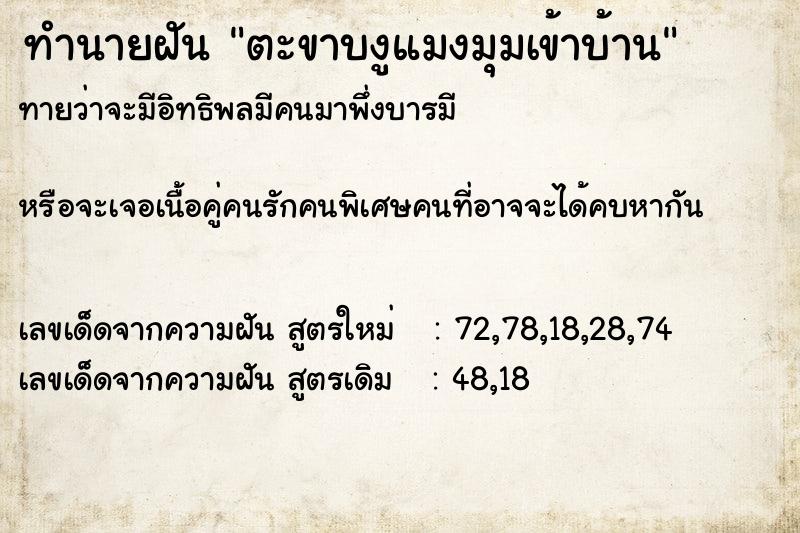 ทำนายฝันทำนายฝันตะขาบงูแมงมุมเข้าบ้าน