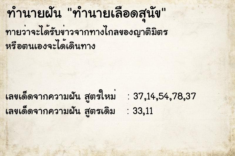 ทำนายฝันทำนายเลือดสุนัข ทำนายฝันทำนายฝันทำนายเลือดสุนัข