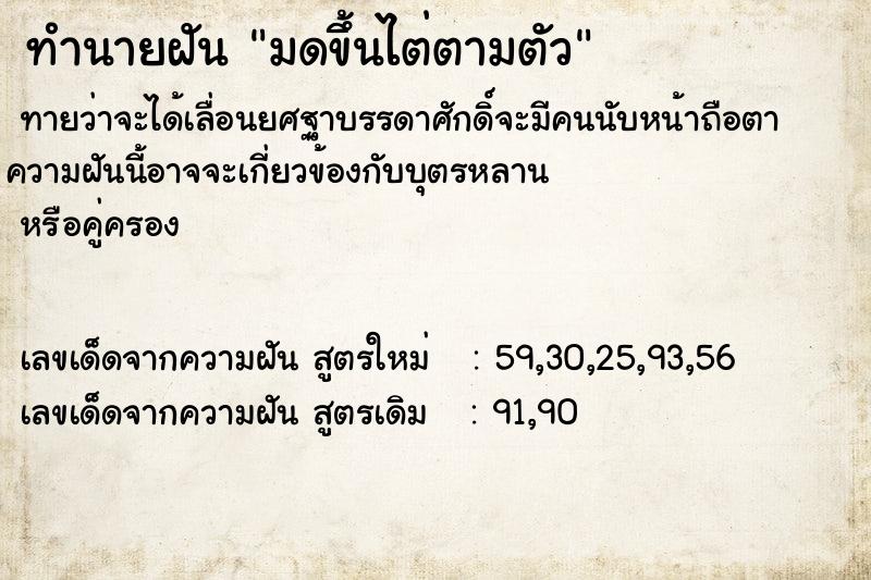 ทำนายฝันทำนายฝันมดขึ้นไต่ตามตัว