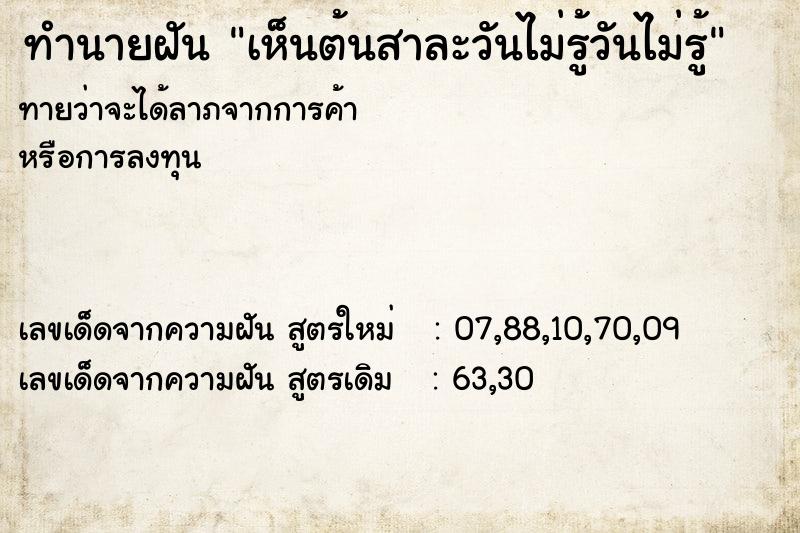 ทำนายฝันทำนายฝันเห็นต้นสาละวันไม่รู้วันไม่รู้