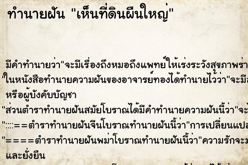 ทำนายฝัน เห็นที่ดินผืนใหญ่ ทำนายฝัน เห็นที่ดินผืนใหญ่